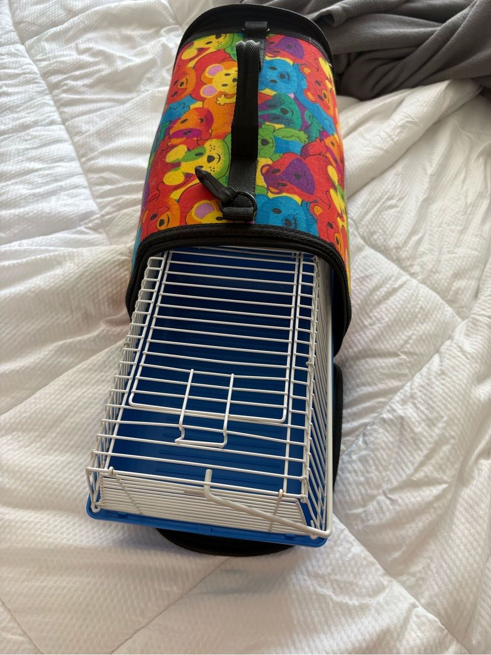 Small Pets Portable Carrier with Multicolor Gummy Bear Print